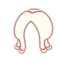 UI-发型-母语者-无框.png